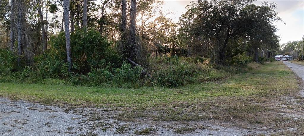 1224 Ramus ST E, LEHIGH ACRES FL 33974