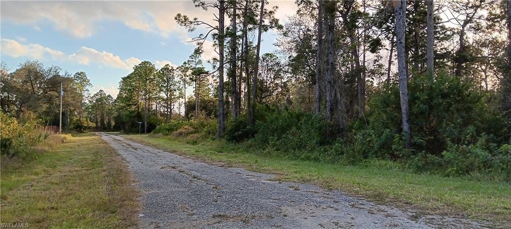 1224 Ramus ST E, LEHIGH ACRES FL 33974