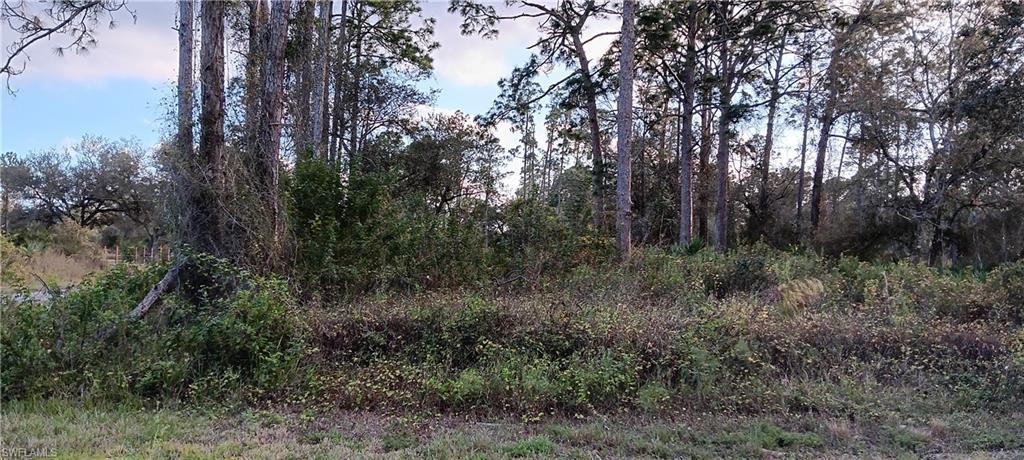 1224 Ramus ST E, LEHIGH ACRES FL 33974