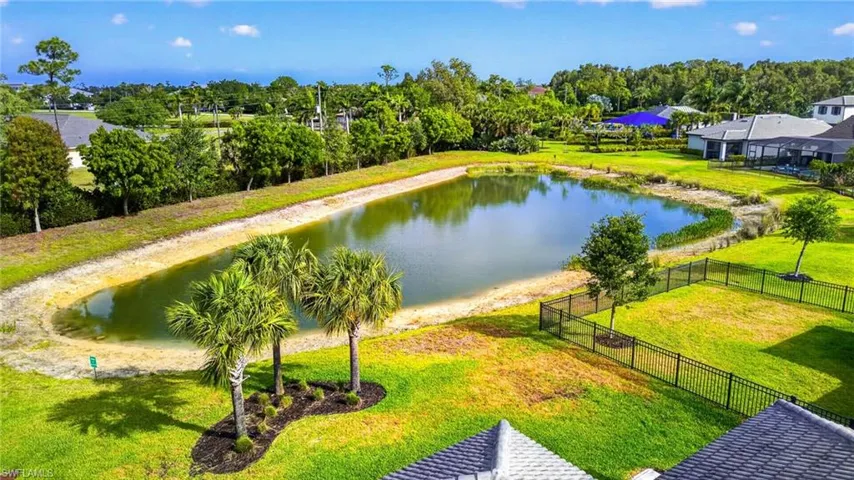 Expansive backyard with a manicured lawn, featuring mature palm trees and a partial black metal fence