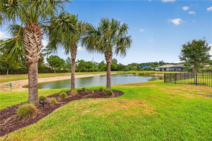 Backyard featuring a serene pond, lush green lawn, mature palm trees, and a black metal fence