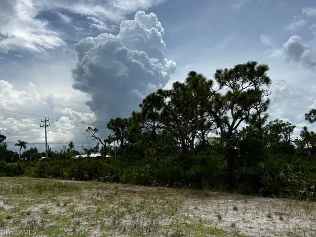 Cleared lot