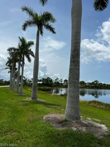 Lined in Palm Trees