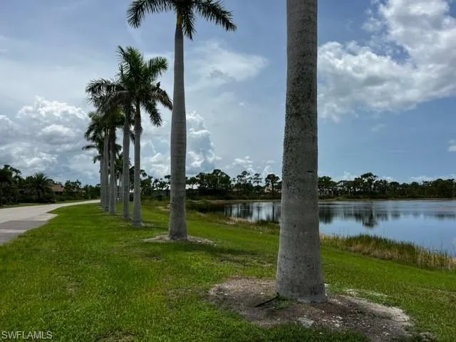 Royal Palms