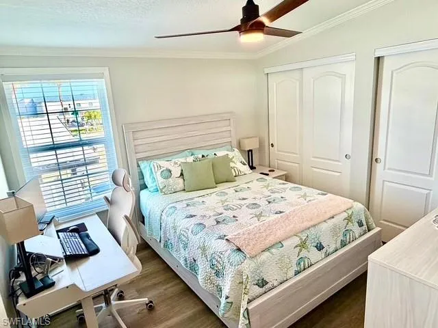Bedroom featuring a desk, two closets, dark wood finished floors, a ceiling fan, and ornamental molding
