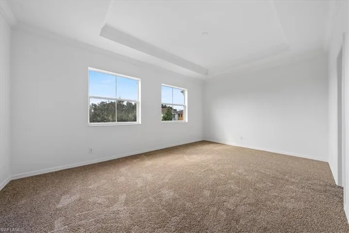 Carpeted spare room featuring a raised ceiling and crown molding