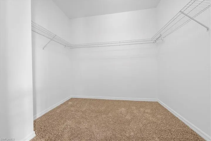 Walk in closet featuring carpet floors