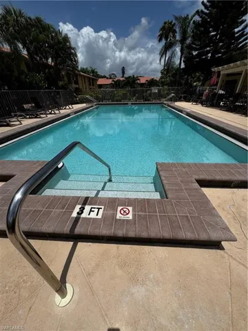Beautiful day for a swim!