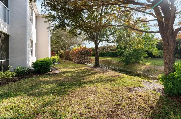 View of grassy yard