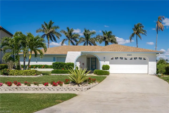 Palms, palms, palms