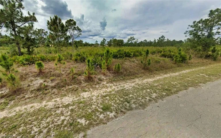 307 Louis AVE, LEHIGH ACRES FL 33936