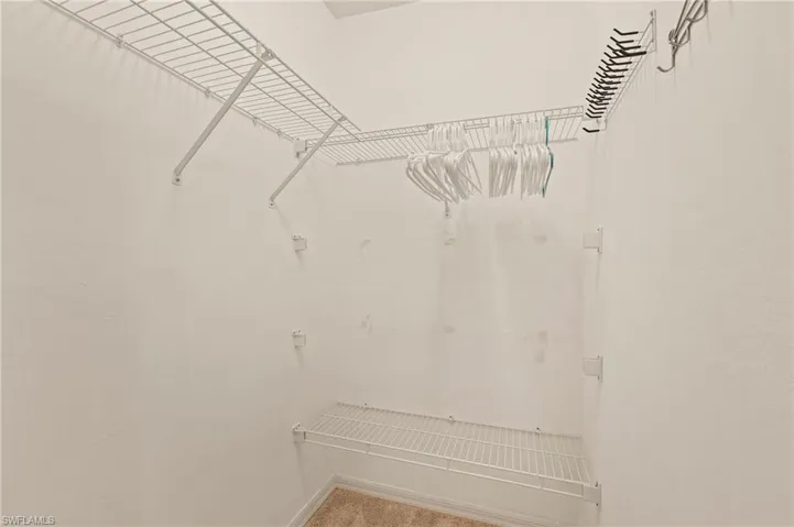 Walk-in closet in Guest Bedroom