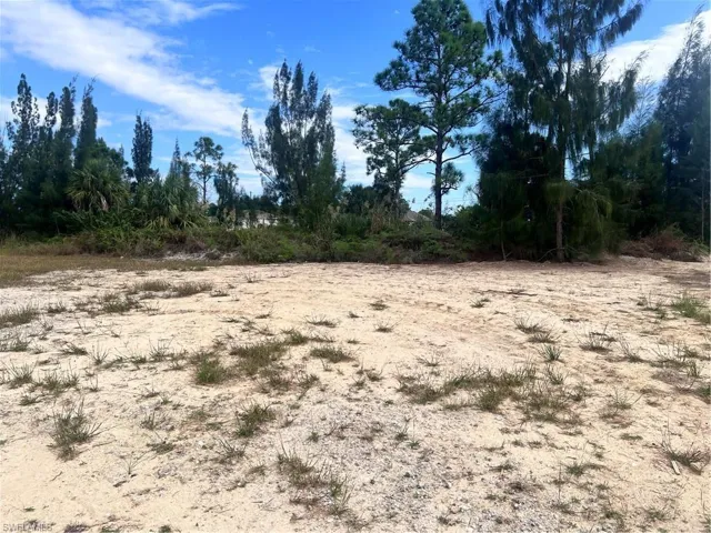 View of nature