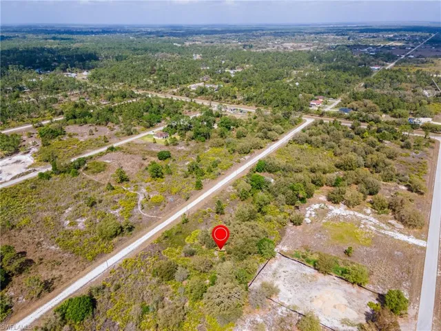 Bird's eye view with a forest view