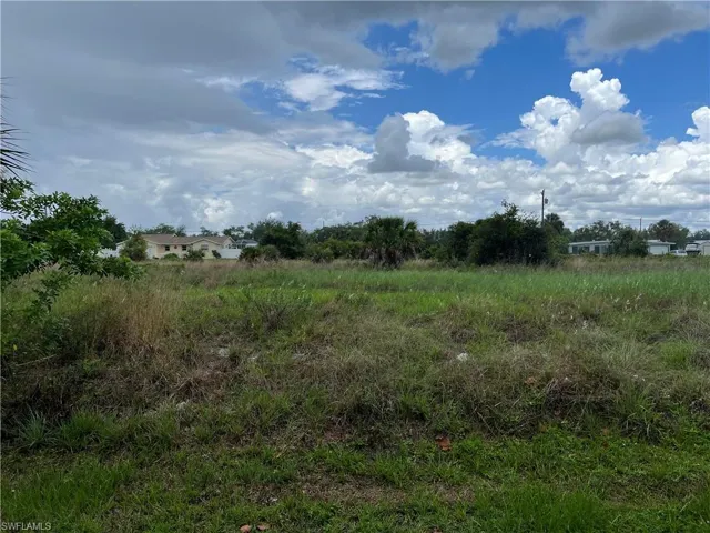View of local wilderness