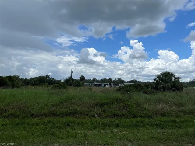 View of nature