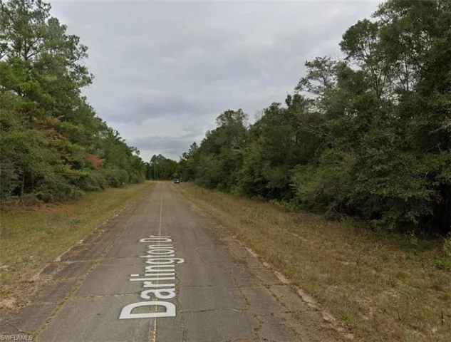 Paved road frontage with natural vegetation and mature trees