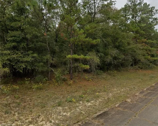 Mature tree line defining the property boundary