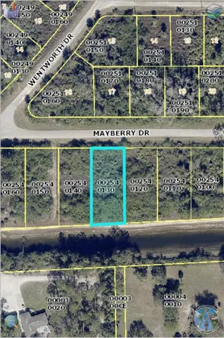 1804 Mayberry Dr, Lehigh Acres, Florida 33972