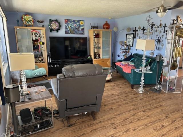 Living room from entrance