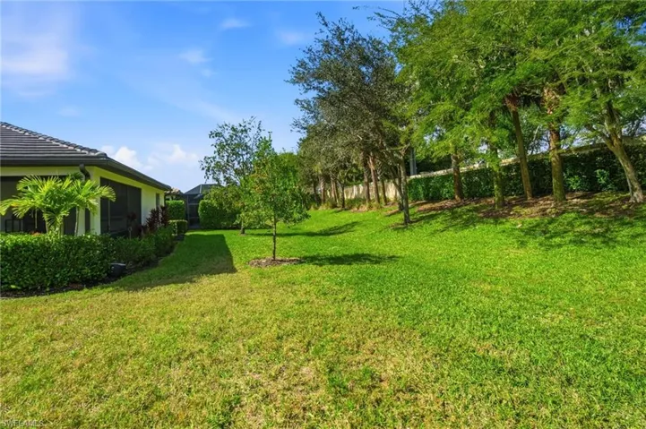Side yard