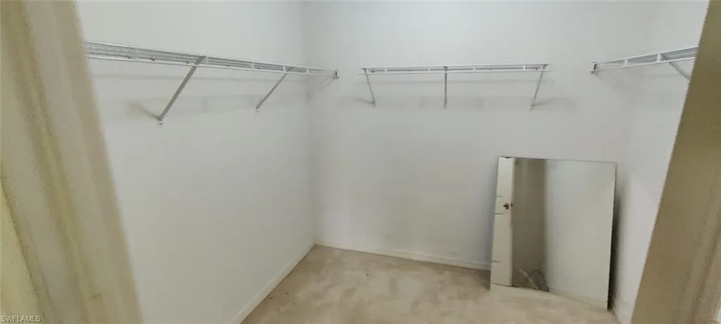 Spacious closet featuring light carpet