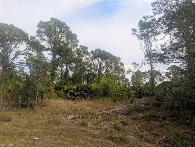 705 Bedford Dr, Lehigh Acres, Florida 33974