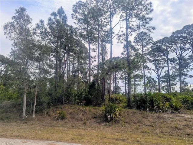 705 Bedford Dr, Lehigh Acres, Florida 33974