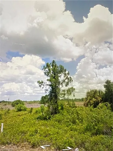 View of nature