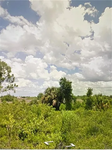 View of nature