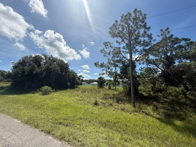 View of undeveloped land