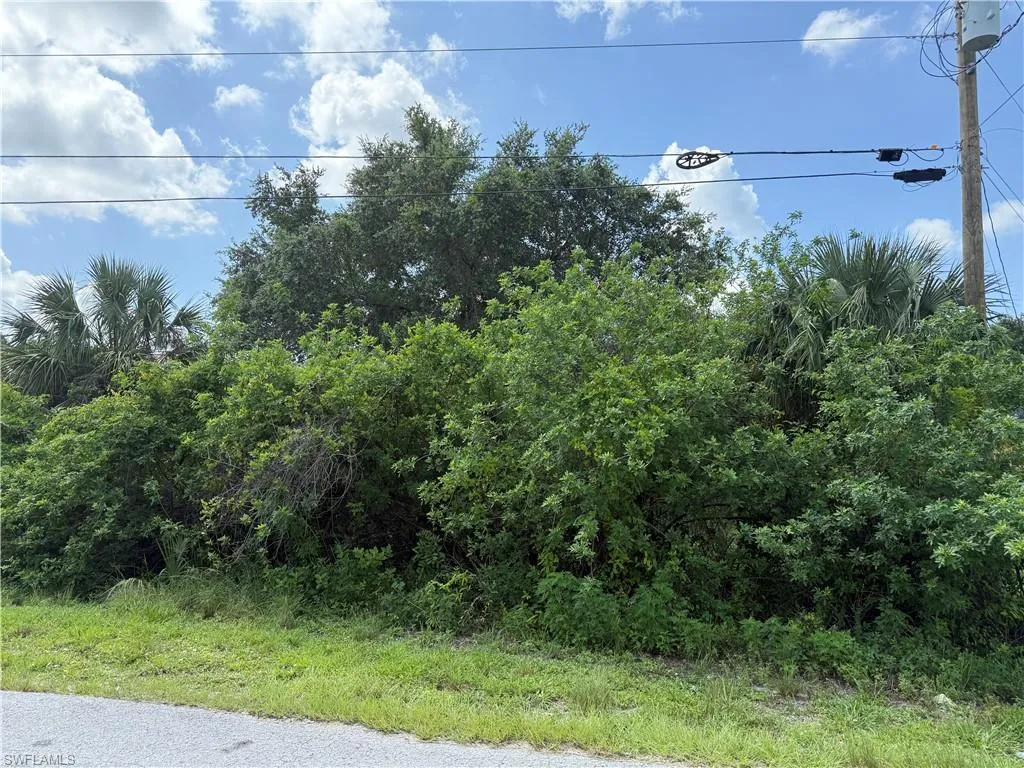 593 Pierre CIR, Lehigh Acres, FL 33974,225061882