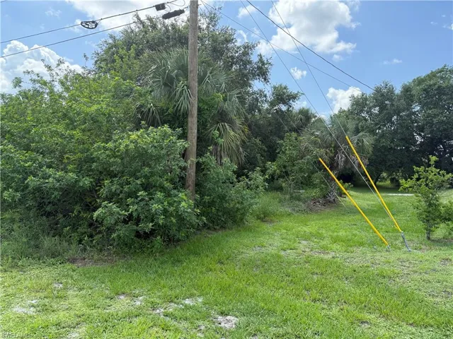 593 Pierre CIR, Lehigh Acres, FL 33974,225061882