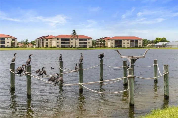 Large Community Lake.