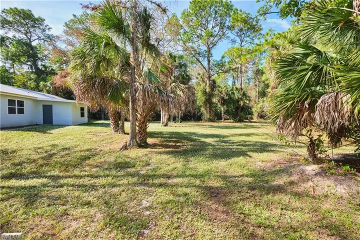 View of grassy yard