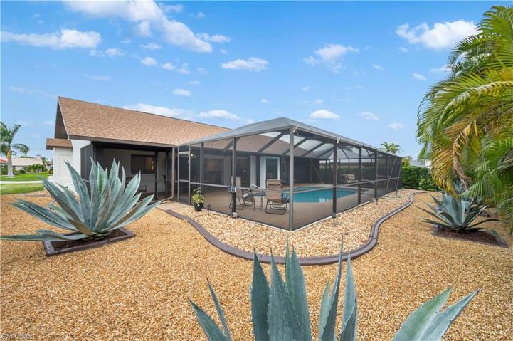 Low Maintenance Back Yard with Agava Palm, Privacy Shrubs & Areka Palms