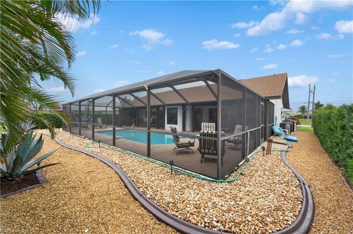 Low Maintenance Back Yard with Privacy Shrubs and Arecka Palms