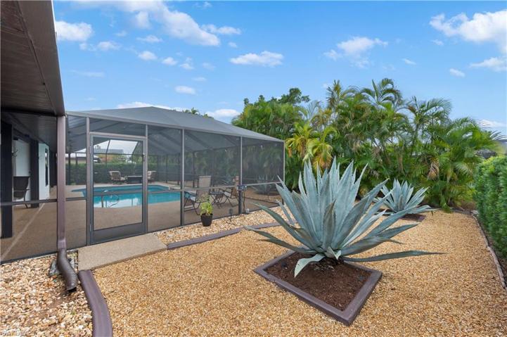 Low Maintenance Back Yard - Agava palms