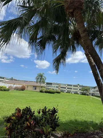 View of grassy yard