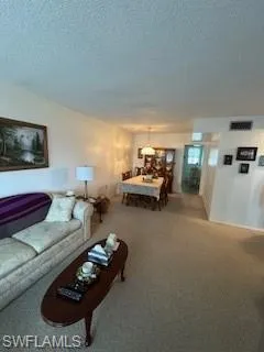 Living area with a textured ceiling and light carpet
