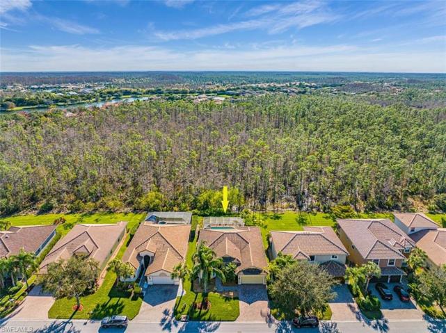 20429  Torre Del Lago  ST, Estero, FL 33928