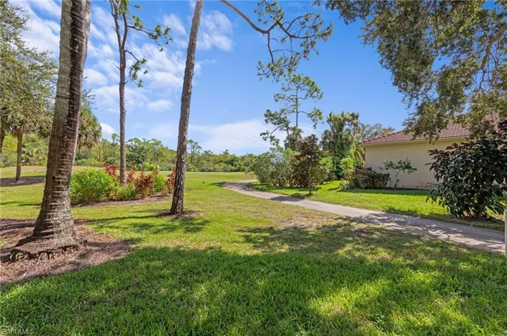View of grassy yard