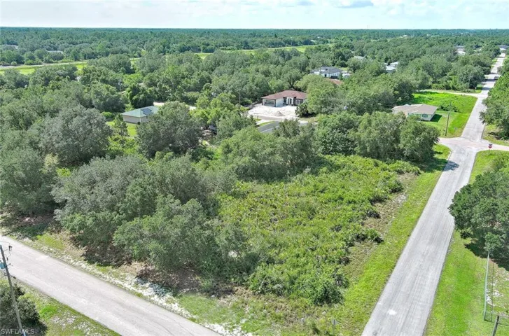 Aerial view of a forest