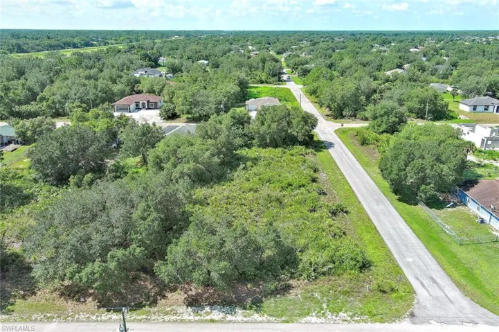 Bird's eye view of a forest