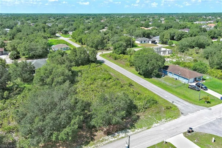Aerial view of a forest