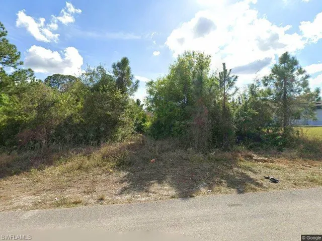 Expansive lot with natural tree coverage and undeveloped ground cover