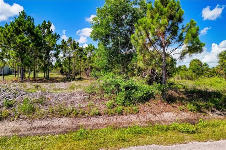 2306 56th Ave Ne, Naples, Florida 34120