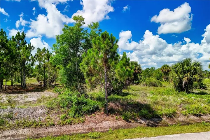 2306 56th Ave Ne, Naples, Florida 34120