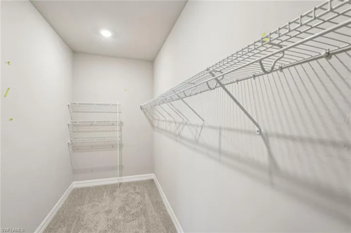 Spacious closet featuring carpet flooring