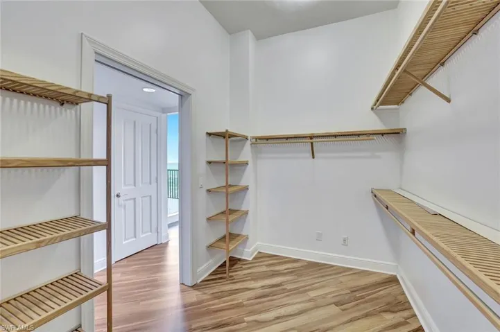 Spacious closet with light wood-type flooring